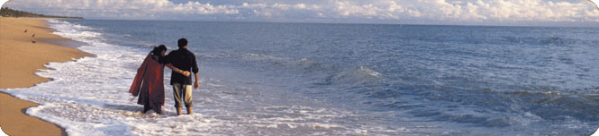 beaches