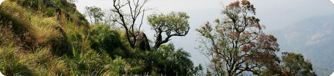 kerala hills