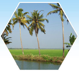 kerala history