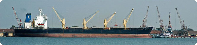 kochi