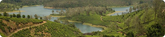 munnar