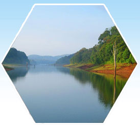 thekkady