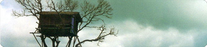 treehouse