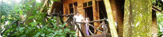 kerala tree house