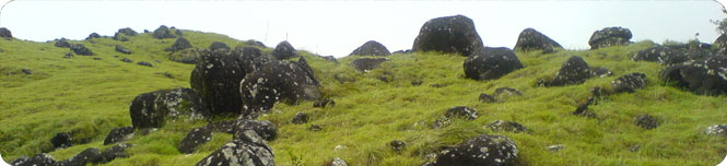 trivandrum