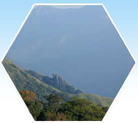 vagamon