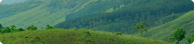 vagamon