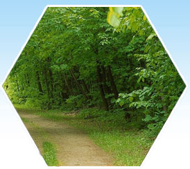 wayanad