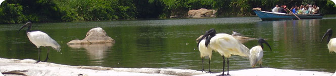 wayanad